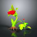 3D Plant Model With Green Leaves Red Berries Claw-like Roots And Small Red Berry Plant Reflection