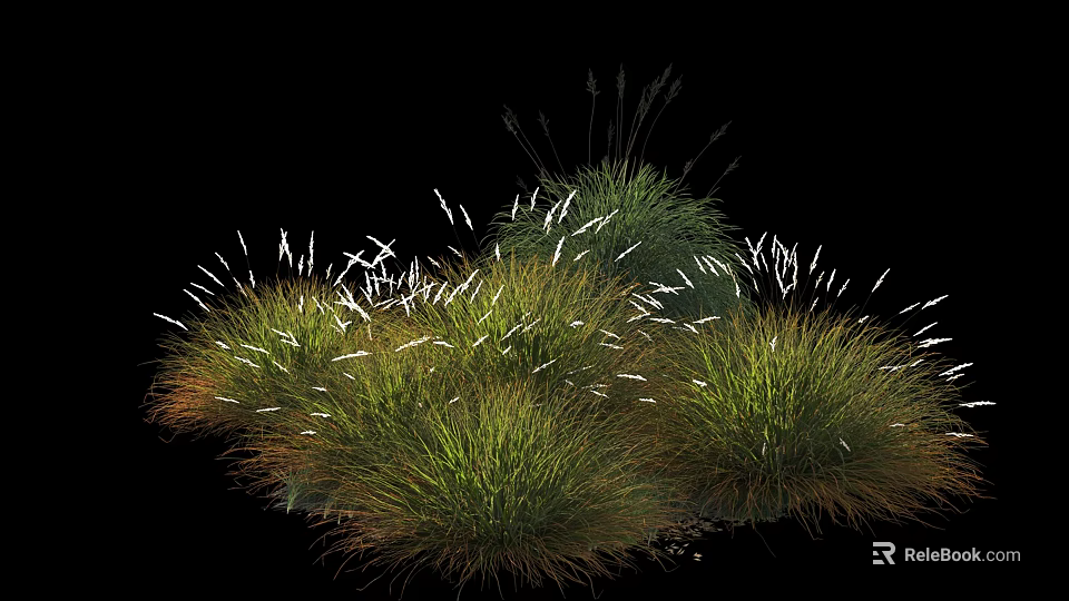 Lush Green Shrubs With White Tipped Leaves In Dense Clustered Growth 3d model 