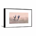 Elegant Framed Botanical Painting With Antlers And Grass In Soft Background