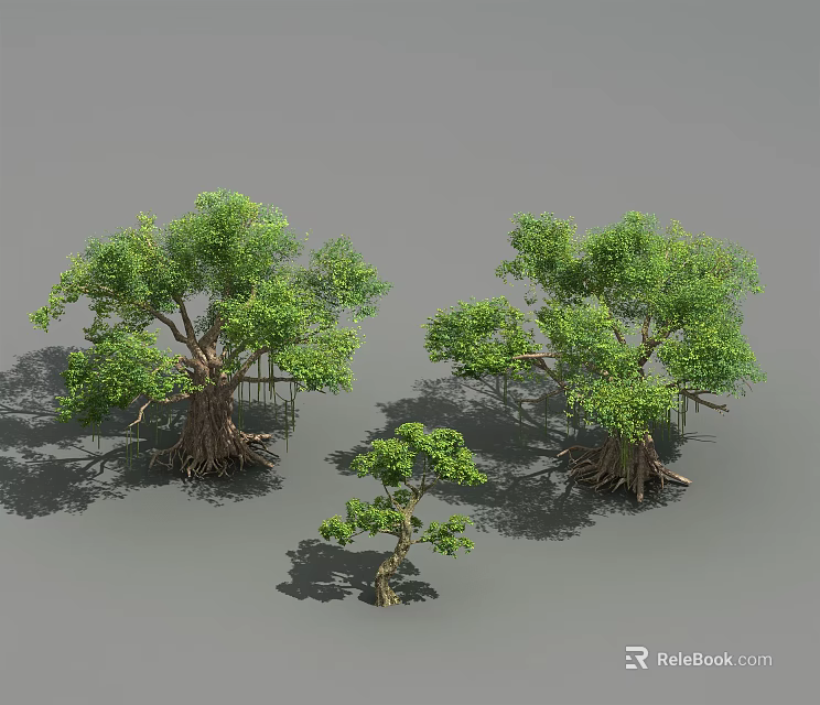 Green Arborescent Trees with Lush Foliage Thick Trunks and Various Sizes 3d model 