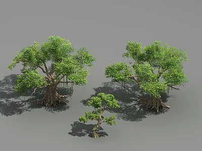 Green Arborescent Trees with Lush Foliage Thick Trunks and Various Sizes 3d model