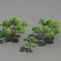 Green Arborescent Trees with Lush Foliage Thick Trunks and Various Sizes