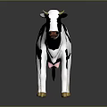 Black and White Spotted Cow Standing with Yellow Hooves and Red Nose on Gray Background