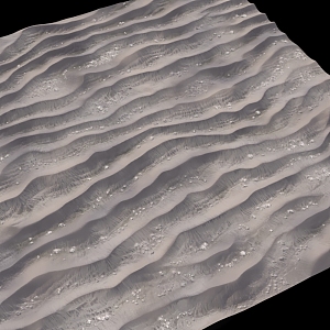 Dune Ground 3D Model 3d model