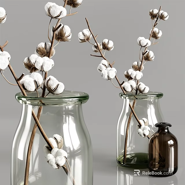 Two Transparent Glass Vases With Cotton Branches For Home Decorative Interior 3d model 