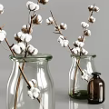 Two Transparent Glass Vases With Cotton Branches For Home Decorative Interior