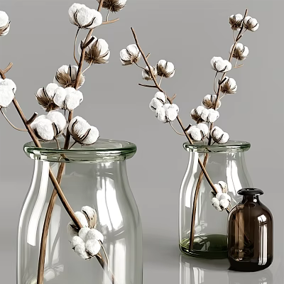 Two Transparent Glass Vases With Cotton Branches For Home Decorative Interior 3d model