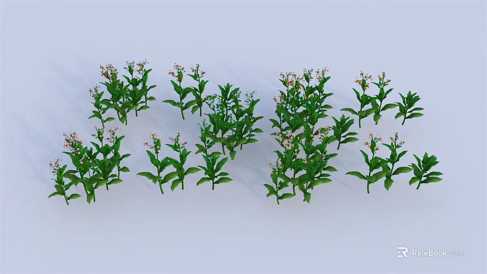 Green Plants with Green Leaves and Pink Small Flowers Multiple Clusters Arranged on White Background 3d model 