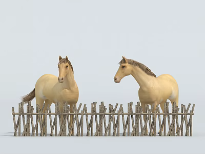 Two Beige Horses Standing By Wooden Fence Against Light Blue Sky 3d model