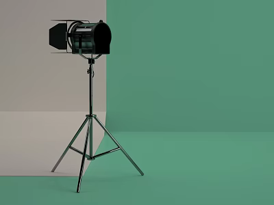 Professional Photography Light On Tripod With Green And Gray Backdrop 3d model