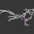 Decorative Ornament Set With Two Vases And Branches Adorned With White Purple Flowers