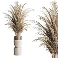 Elegant Decorative Bonsai Potted Plants In White Ceramic Pots With Copper Accents For Indoor Decor