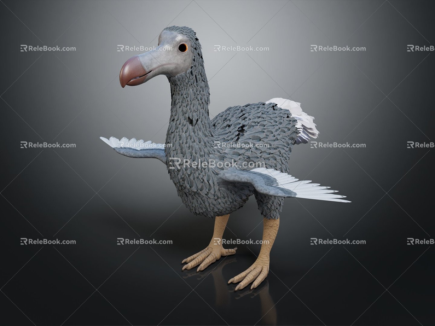 Modern Birds Dodo Birds Flying Birds 3d model