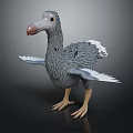 Flying Animal Gray Bird Figure Standing With White Wing Edges Pink Beak And Yellow Legs