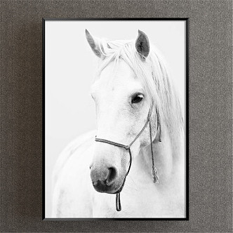 Modern Animal Painting Black and White Children's Room Animal Horse Decorative Painting 3d model