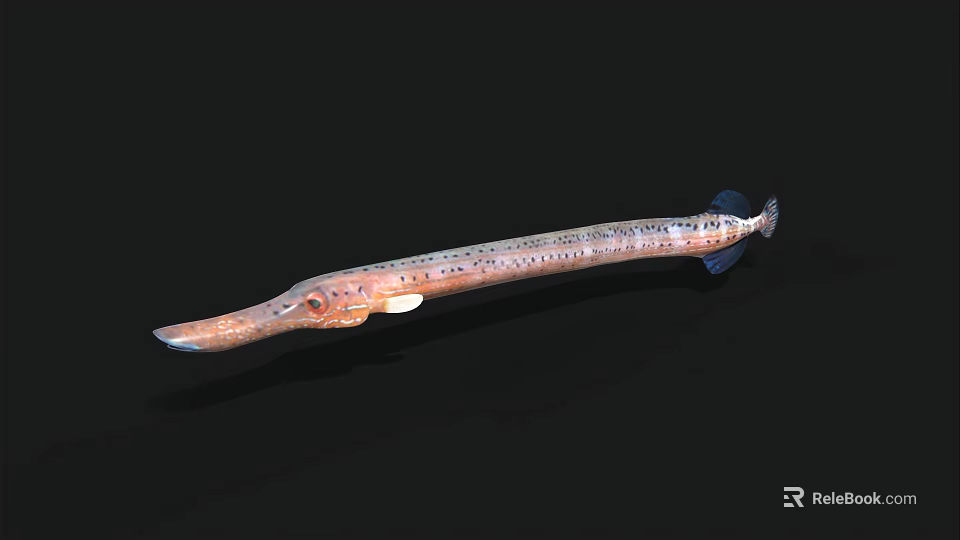 Brown Spotted Aquatic Animal With Long Body Elongated Snout And Swimming Posture Underwater 3d model 