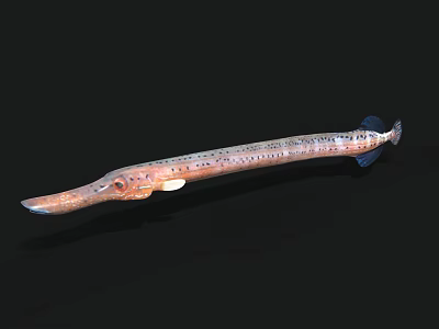 Brown Spotted Aquatic Animal With Long Body Elongated Snout And Swimming Posture Underwater 3d model