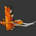 Vibrant Orange And Red Feathered Flying Animal Spreading Wings With White Tail Feathers