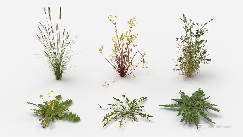 Garden Landscape Design Featuring Various Types of Herbaceous Plants And Grasses 3d model 