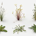 Garden Landscape Design Featuring Various Types of Herbaceous Plants And Grasses