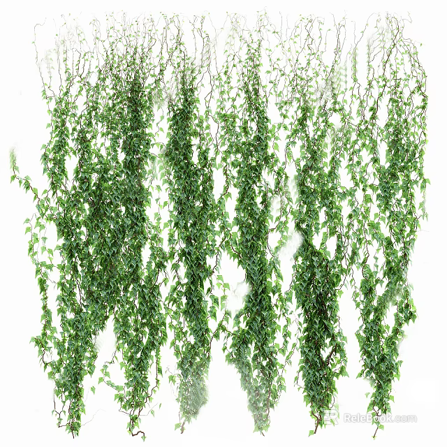 Hanging Green Vines With Lush Leaves For Natural Decorative Garden And Home 3d model 