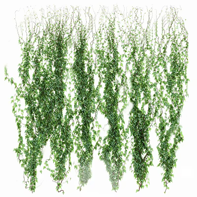 Hanging Green Vines With Lush Leaves For Natural Decorative Garden And Home 3d model