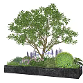 Elegant Plant Combination With Large Tree Purple Pink Flowers Green Shrubs In Black Marble Planter