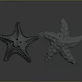 Two Gray Starfish With Textured Surfaces On Dark Reflective Background 3d model