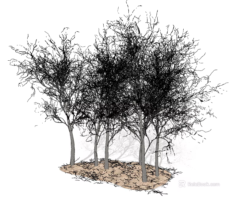 Several Leafless Arbor Trees With Thin Trunks And Branches On Soil 3d model 