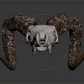 White Ram Skull Decorative Ornament Set With Textured Brown Horns For Home Decor