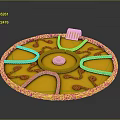 Fashionable Golden Circular Clothing Accessory With Intricate Patterns And Decorative Clasp