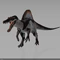 Spinosaurus With Red Sail Open Mouth Sharp Teeth Standing On Gray Background 3d model
