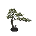 Beautiful Bonsai Trees with Natural Trunks Lush Foliage and Stone Lion Decor in Black Pots