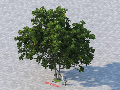 Lush Green Tree With Dense Foliage And Human Figure On Paved Ground 3d model
