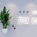 Modern Square And Round Ceiling Lights With Wall Decor And Green Plant