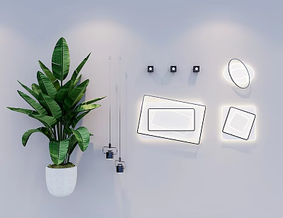 Modern Square And Round Ceiling Lights With Wall Decor And Green Plant 3d model