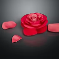 Beautiful Red Rose Bloom With Scattered Petals On Black Reflective Surface