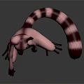 Cute Lemur Sitting On Smooth Surface With Green Eyes Pink Body And Black White Tail