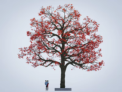 Red Leaf Tree with Two People Standing Underneath Against Light Blue Sky 3d model