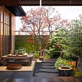Japanese Garden Decor Featuring Wooden Table Stools Red Leaf Tree Pine Plants And Stone Path