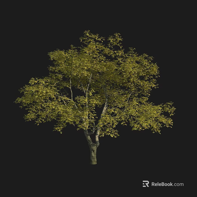 Lush Green Arbor With Dense Foliage Isolated On Black Background 3d model