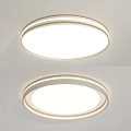 Modern Round Ceiling Light With Sleek Design And White Illumination For Home 3d model