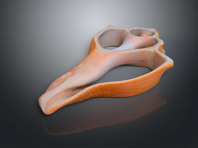 Glossy Orange Aquatic Animal Shell With Unique Curved Shape And Smooth Textured Surface 3d model