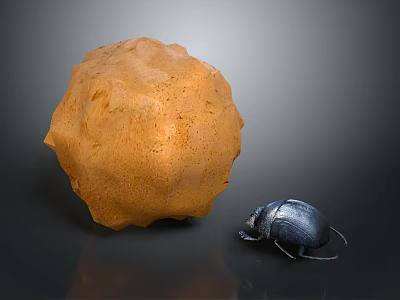 Rough Textured Orange Sphere Next to Small Black Beetle on Dark Reflective Surface 3d model