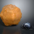 Rough Textured Orange Sphere Next to Small Black Beetle on Dark Reflective Surface 3d model