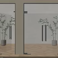 Modern Glass Hinged Doors with Metal Frames Silver Handles and Indoor Plants