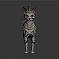 Spotted Cat Standing With Pointed Ears Raised Tail And Reflective Floor Background 3d model