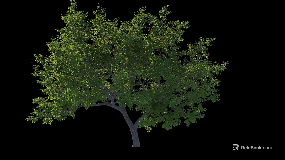 Lush Green Deciduous Tree With Dense Foliage Strong Trunk And Natural Shape 3d model 