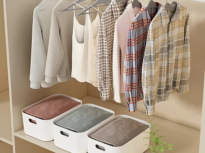Organized Hanging Clothes With Colorful Storage Boxes On Shelf And Small Plant 3d model