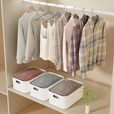 Organized Hanging Clothes With Colorful Storage Boxes On Shelf And Small Plant 3d model